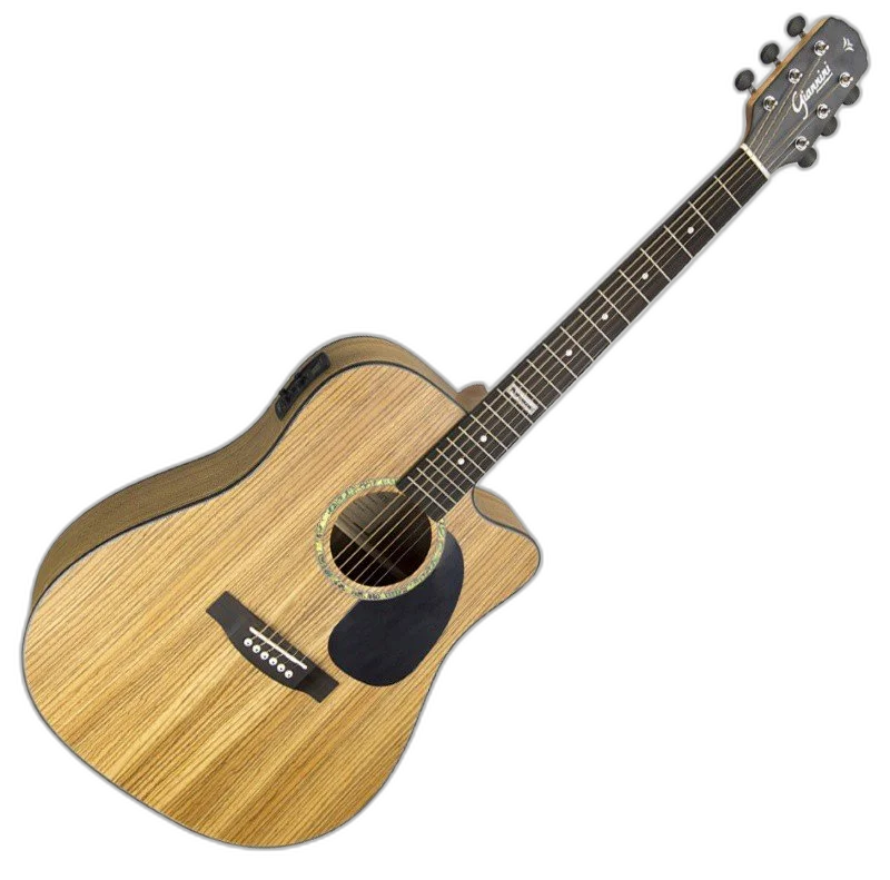 Violão Giannini GF1D ceq zw Zebra