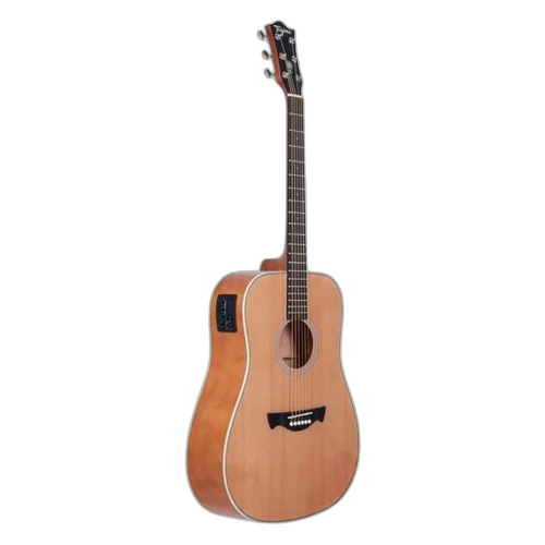 Violão Tagima Eletrico Woodstock Tw-25 Folk - Natural Satin + Vx01