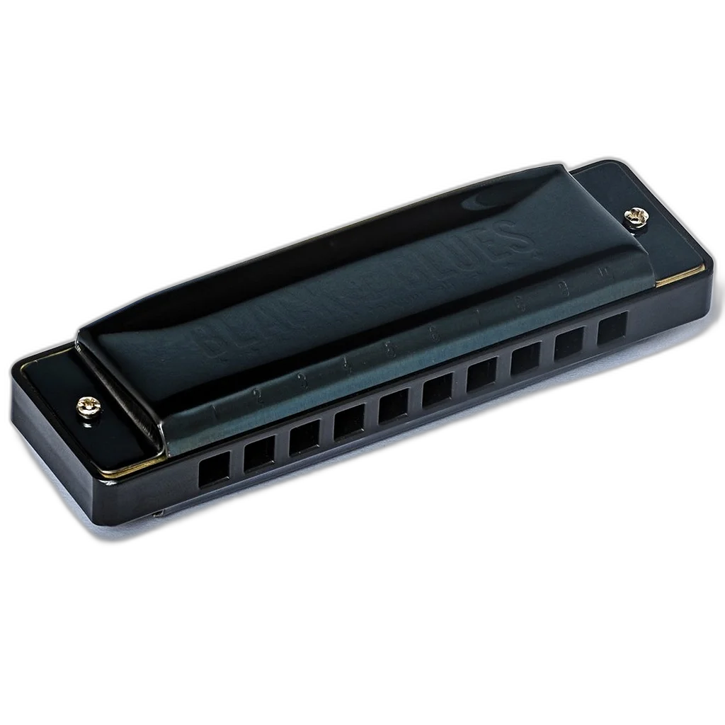 Gaita Hering Diatônica Black Blues C Dó 6020C 20 Vozes C/ Case