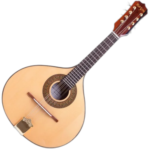 Bandolim Rozini Profissional Acústico RB22.AC.N.J Jacarandá