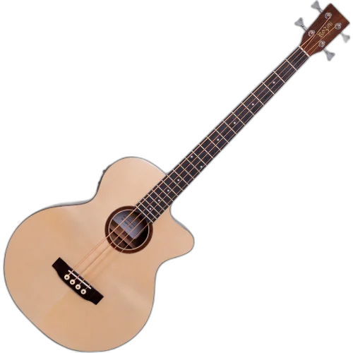 Baixolão Rozini Premium Fishman Presys+ RBX920.AT.N.LP