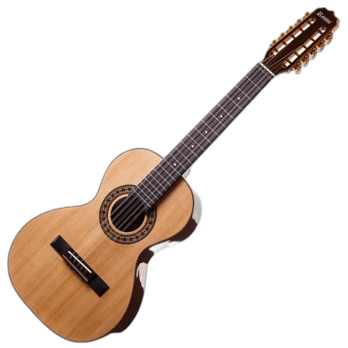 Viola Rozini Acústica Profissional Cinturada RV102.AC.N.J Brilhante Jacarandá
