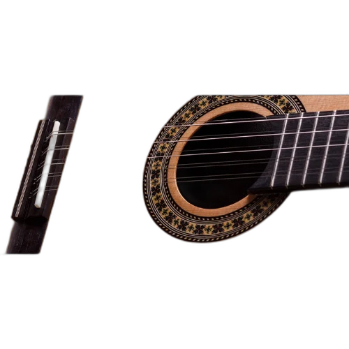 Viola Rozini Acústica Profissional Cinturada RV102.AC.N.J Brilhante Jacarandá