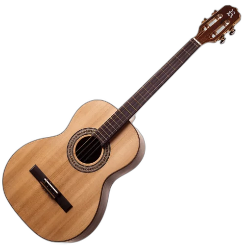 Violão Acústico Rozini Profissional Tenor RX208.AC.N.J