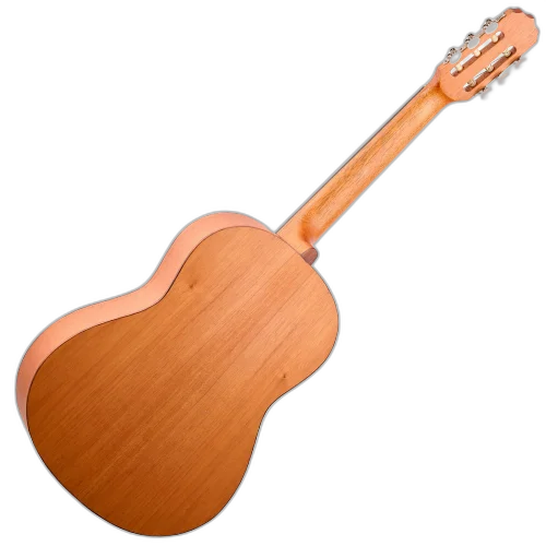 Violão Acústico Rozini João RX209.AC.F.CD com Tampo Maciço em Marupá