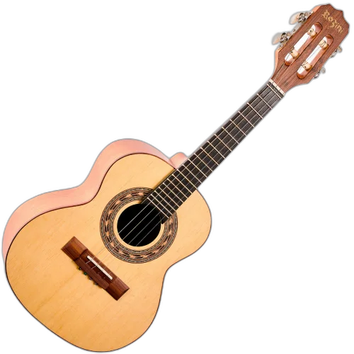 Cavaco Acústico Rozini RC19.AC.F.CD Zé Cavaquinho com Tampo Marupá Maciço