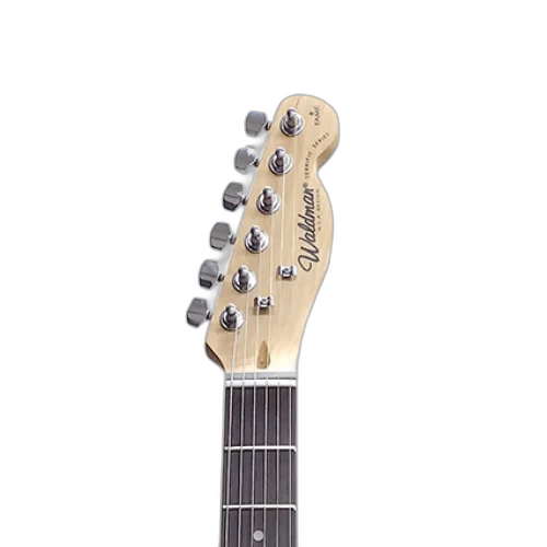 Guitarra Waldman GTE-100T BK Black - Traditional Electric Series