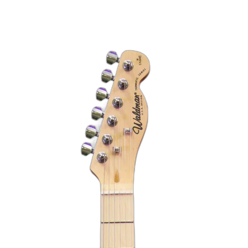 Guitarra Waldman GTE-300 2TS Two-Tone Sunburst - Traditional Electric Series Professional