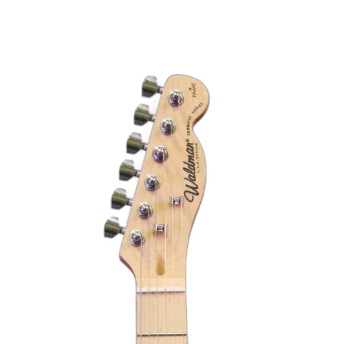 Guitarra Waldman GTE-300 LG Lime Green - Traditional Electric Series Professional