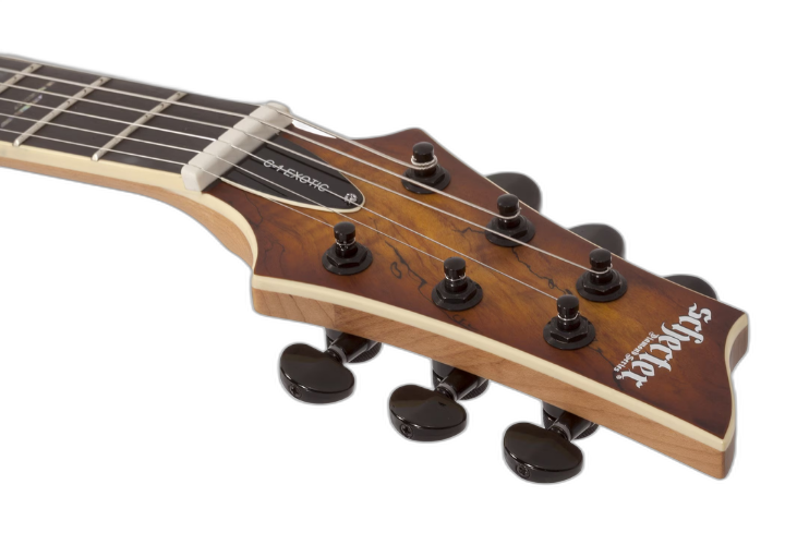 Tampo Spalted Maple