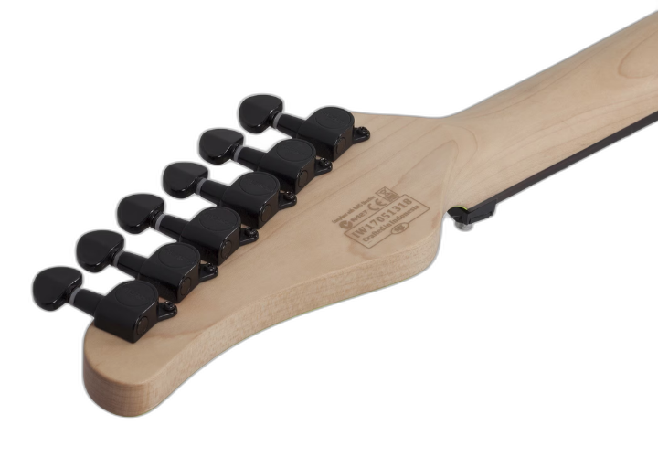 Braço Maple Thin C