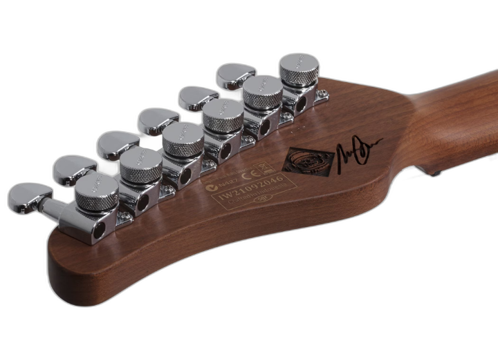 Ponte Schecter PT-H