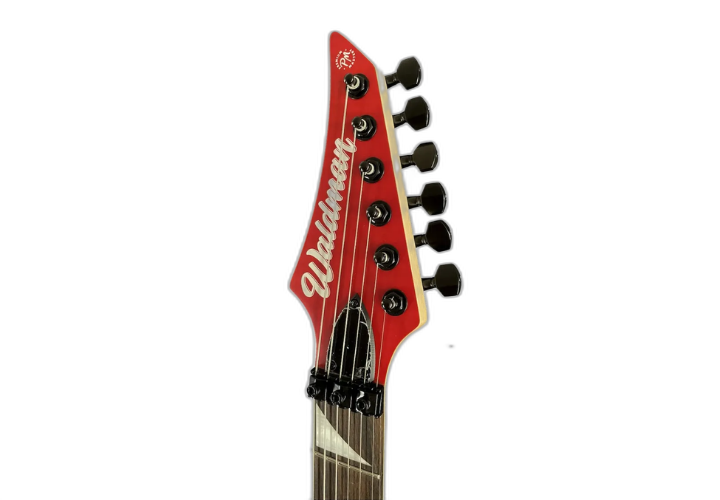 Corpo Poplar com Flamed Maple Top