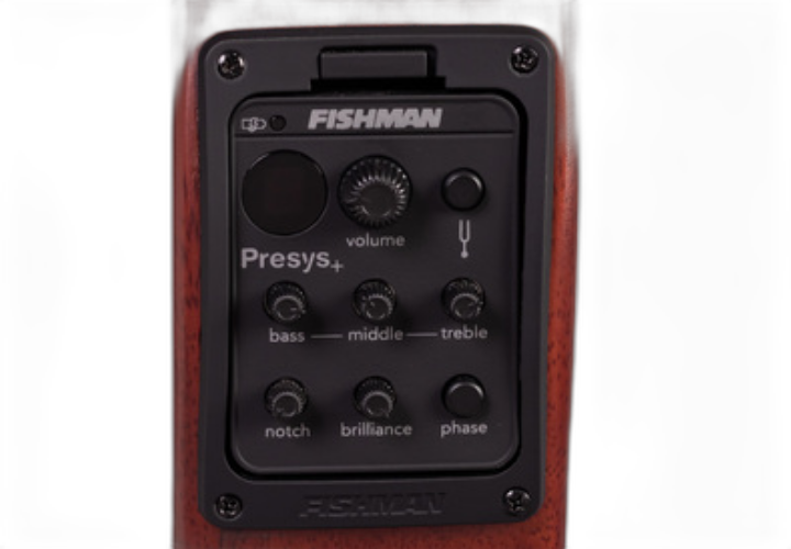 Fishman Piezo + Captador Magnético