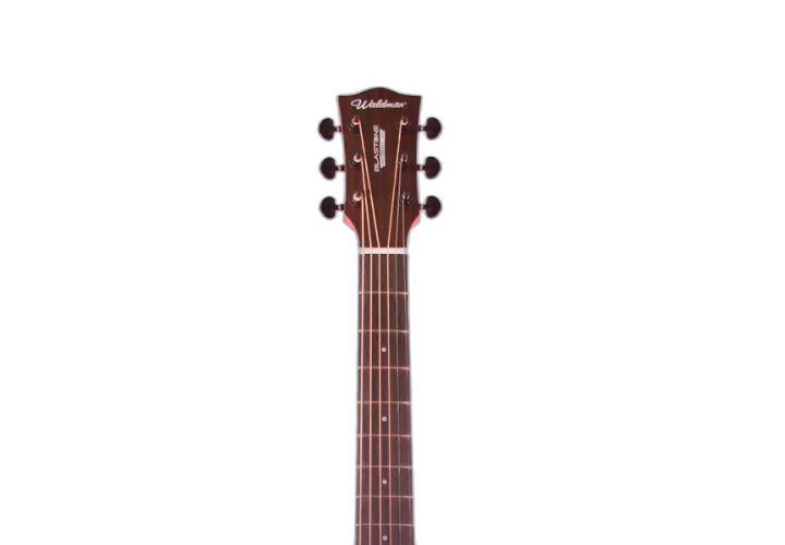 Tampo Basswood Sunburst