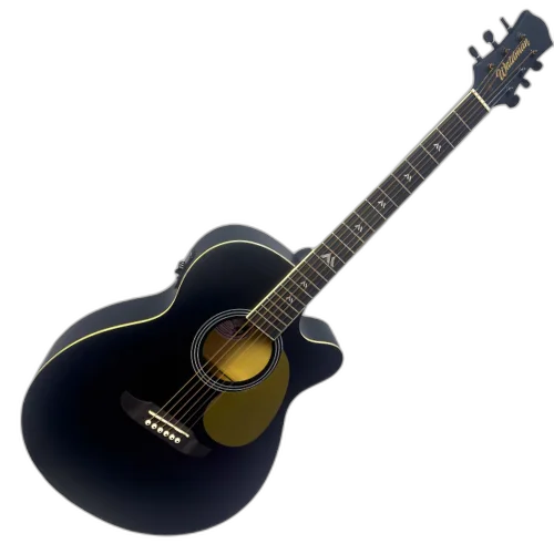 Violão Eletroacústico Waldman TFCE-140 BK Black Aço Basswood Nato EQ-3RTX com Afinador