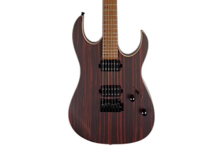 Guitarra Waldman WIGR220 DN Dark Natural com Captadores HH Cerâmicos e Ponte Tremolo Semi-Flutuante 2 Pivôs Black