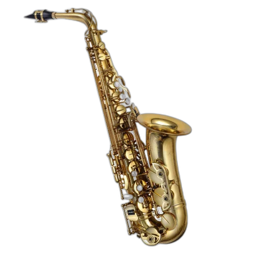 Saxofone Alto P. Mauriat PMXA-67R GL Gold Lacquer com Tudel Super VI e Campana Gravada à Mão