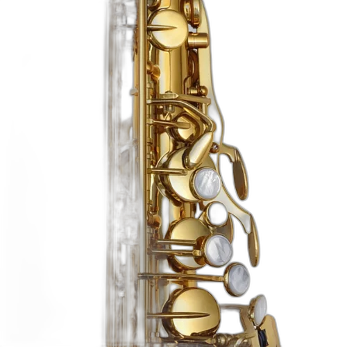 Saxofone Alto P. Mauriat PMXA-67R GL Gold Lacquer com Tudel Super VI e Campana Gravada à Mão