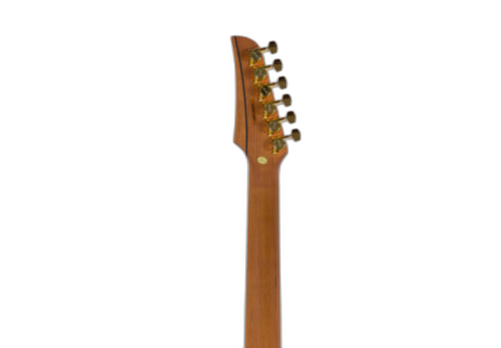 Braço Maple C Thin