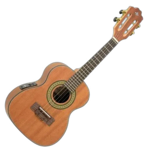 Cavaco Eletroacústico Strinberg CS25E Mahogany Satin