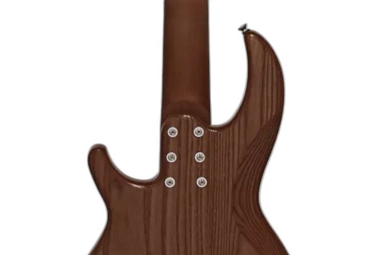 Escala Rosewood 24 Trastes