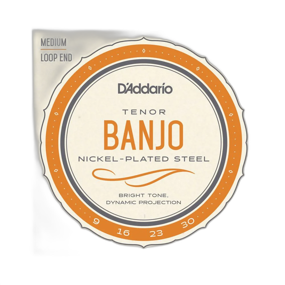 Encordoamento Banjo Tenor D Addario Nickel-Plated Steel EJ63