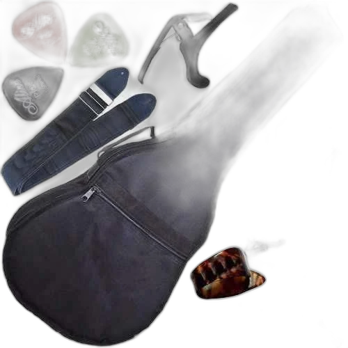 Kit Capa  Viola Acolchoada C/ Acessórios + Suporte G3s